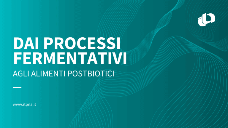 dai processi fermentativi agli alimenti postbiotici